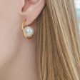 heart earrings p67