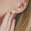 heart earrings p67