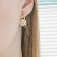 heart earrings p67