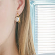 heart earrings p67