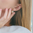 heart earrings p67