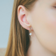 heart earrings p67