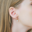heart earrings p67