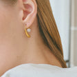 pearl earrings p53