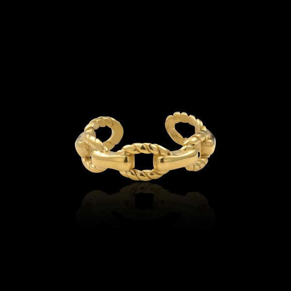 chain ring r91