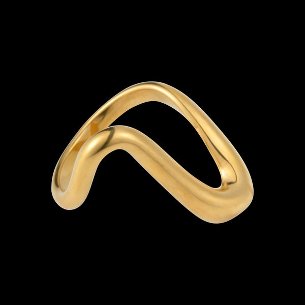 wave ring r107