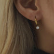 Zirconia hoop earrings p28