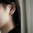 Zirconia hoop earrings p28