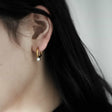 Zirconia hoop earrings p28